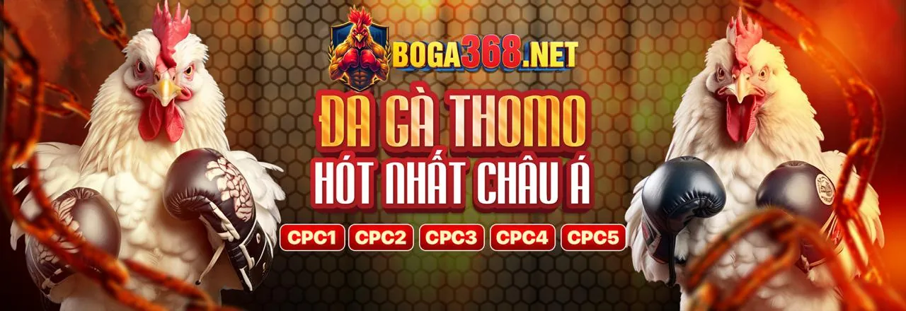 Đá Gà Trực Tuyến FF66 Link Mới 2026
